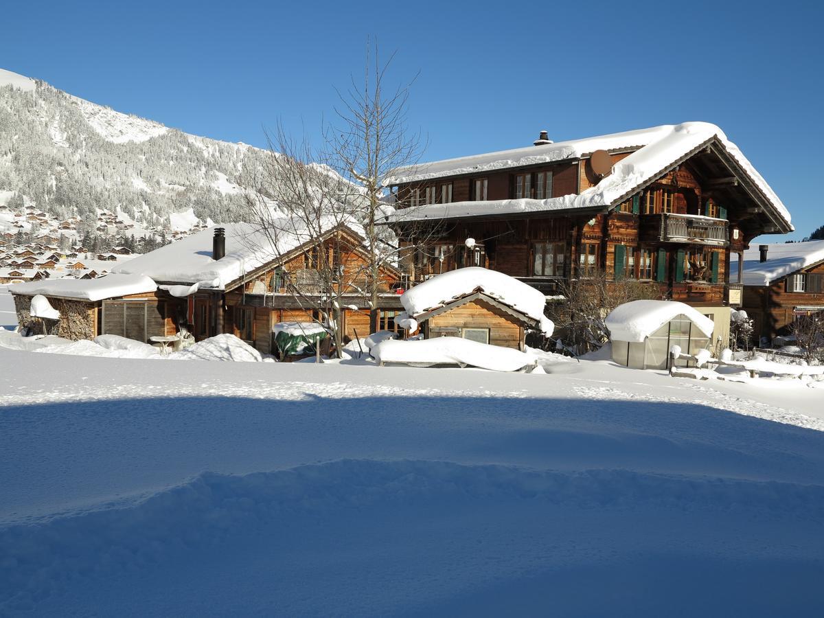 Bergdohle Apartment Adelboden Ngoại thất bức ảnh